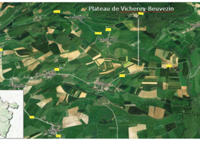 Développement de cultures favorables à la protection de la ressource en eau dans un contexte d’élevages bovins variés