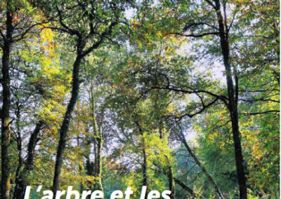 Forêts urbaines de demain