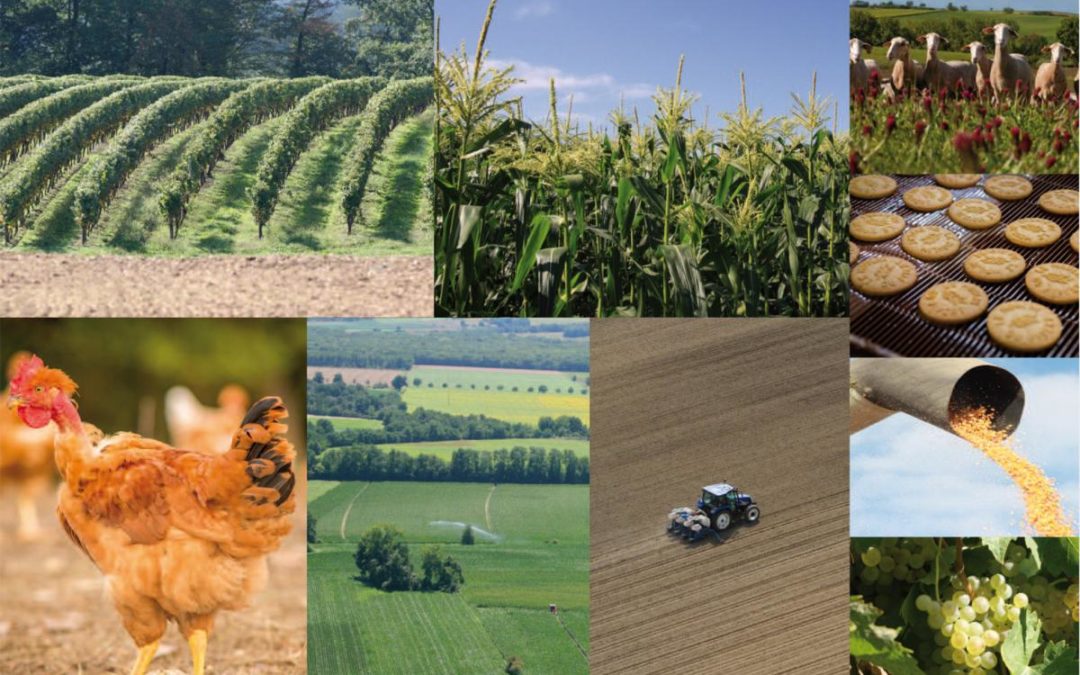 Déploiement d’un fonds foncier en région Occitanie