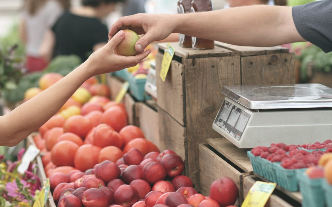 Faisabilité d’un magasin de producteurs